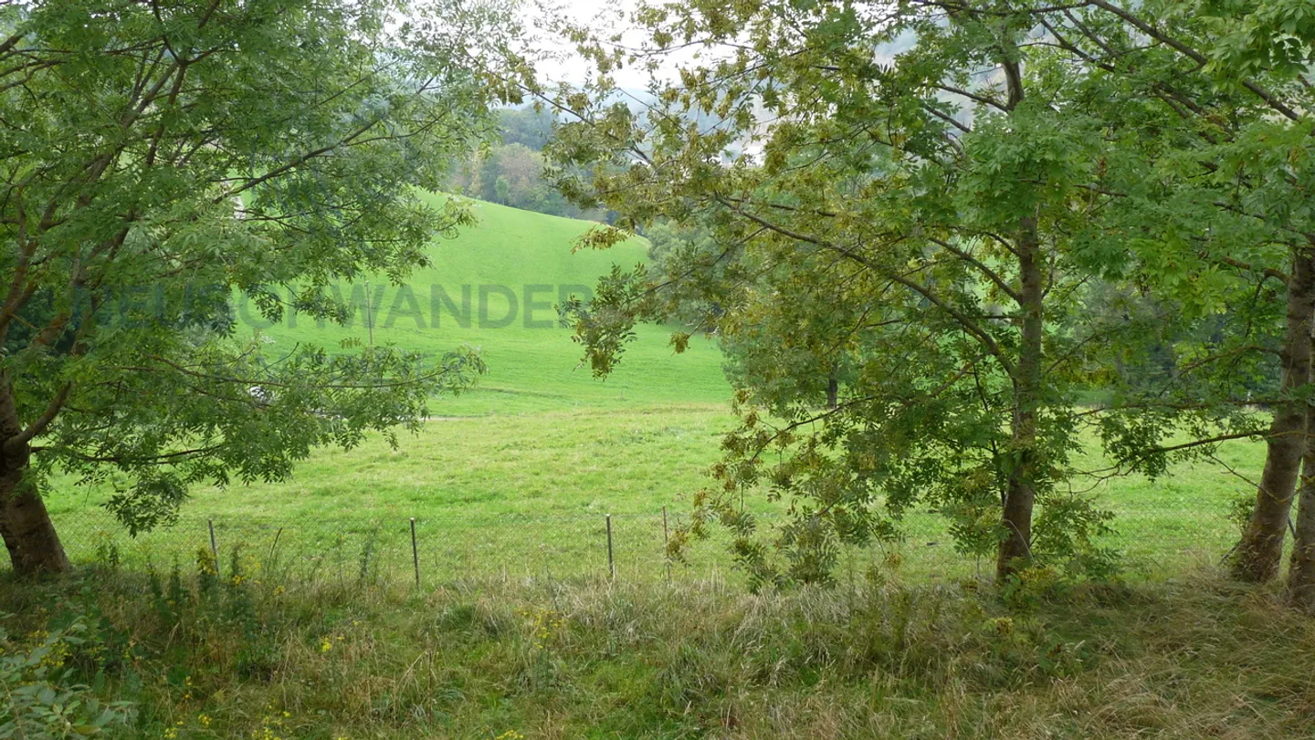 Zwei Wohnungen und ein Geschäftslokal für Ihre Investition - Foto 3 von 10