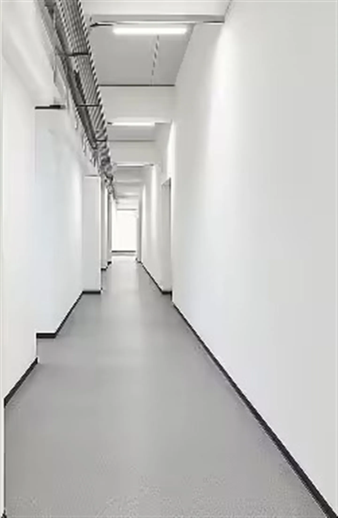 Espace industriel à Mendrisio - Photo 4 sur 5