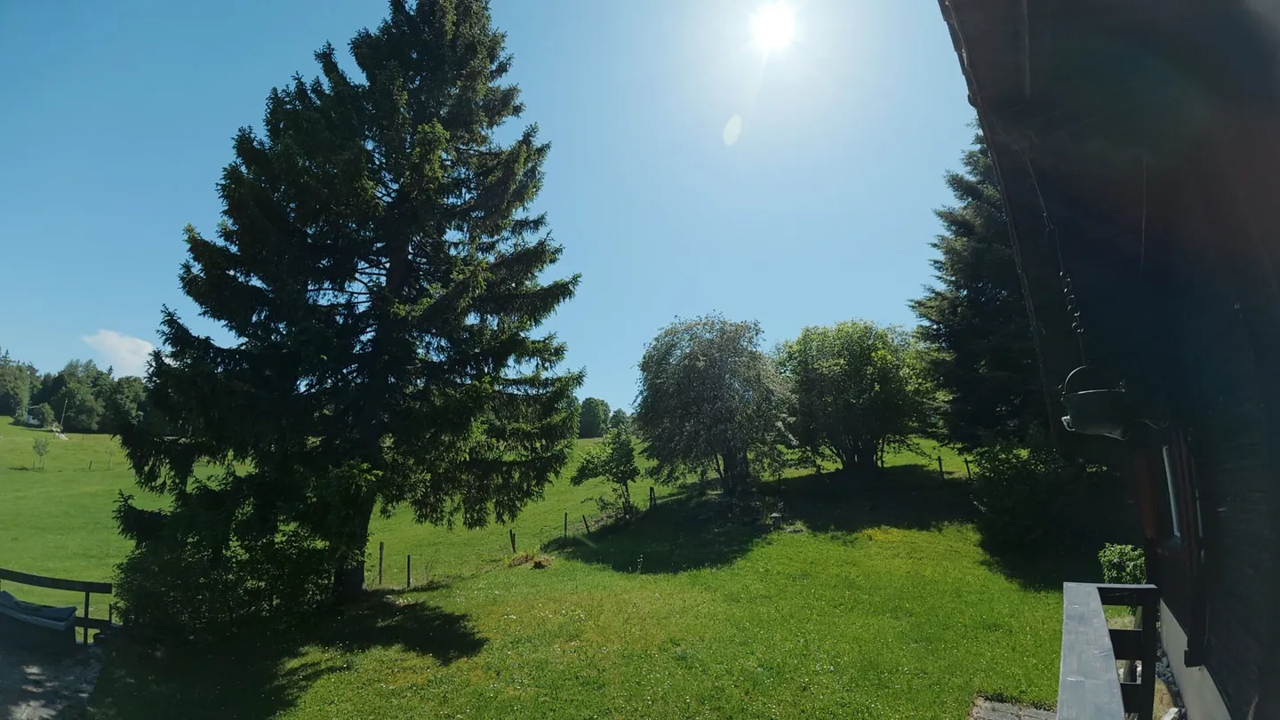 Idyllic chalet with large plot in a completely quiet location in Magglingen - Photo 12 of 15