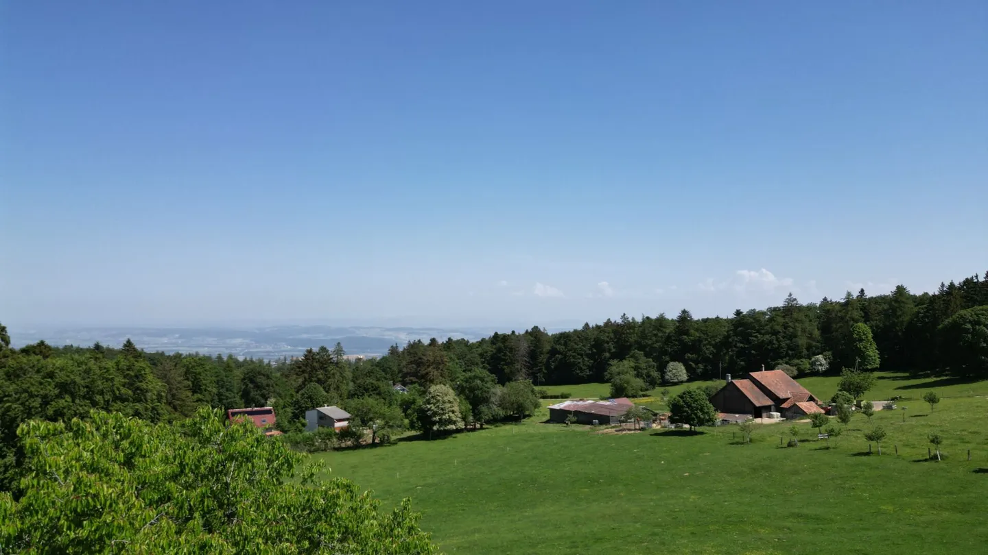 Idyllic chalet with large plot in a completely quiet location in Magglingen - Photo 13 of 15