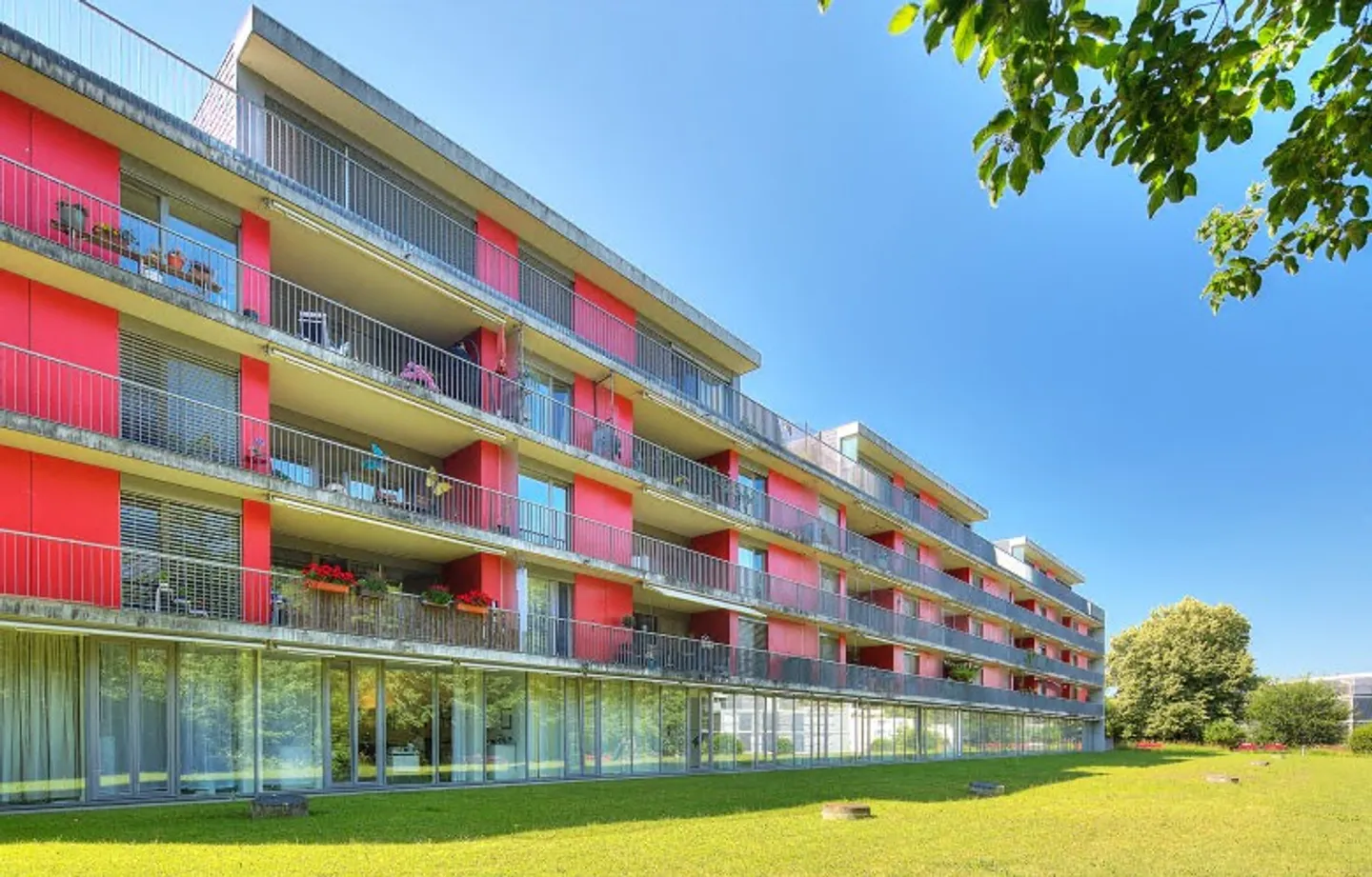 Attention, finished - live! - Photo 2 of 5