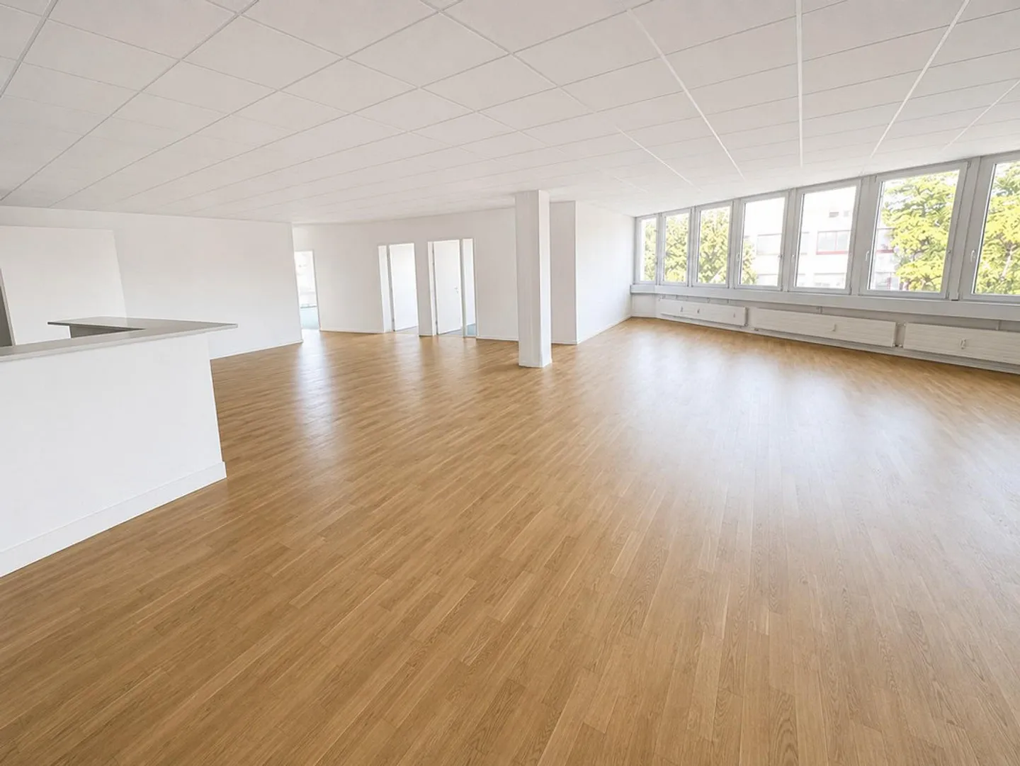 Spacious Office Space - Ready for Immediate Occupancy - Sennweid Commercial Building - Photo 4 of 13