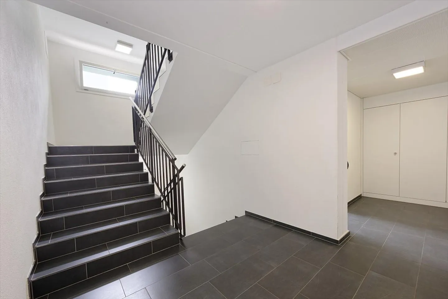 Montrer sa présence ! - Photo 4 sur 9