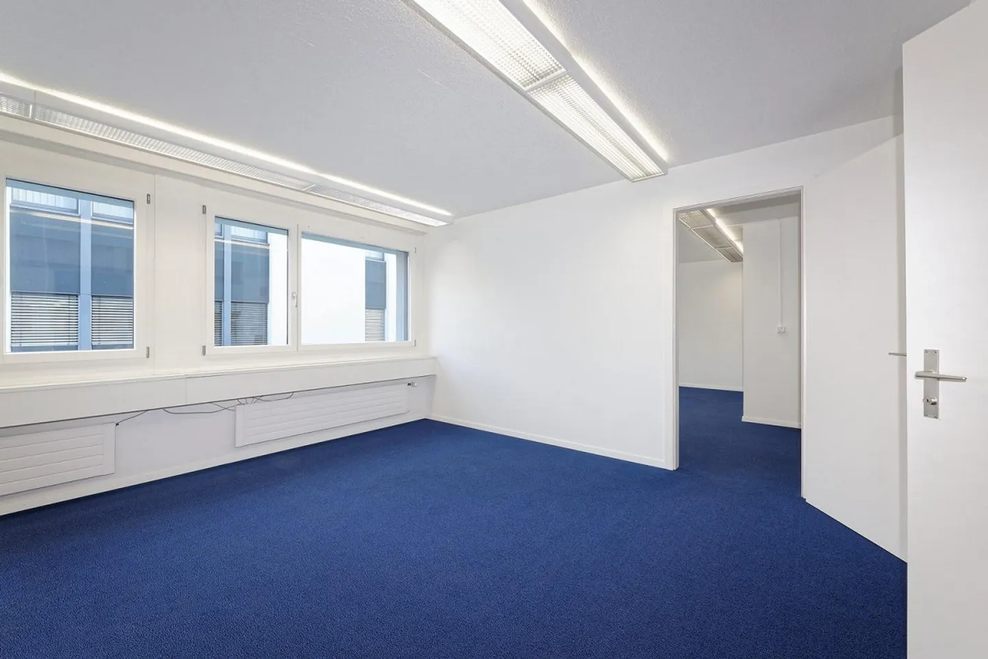 Montrer sa présence ! - Photo 6 sur 9