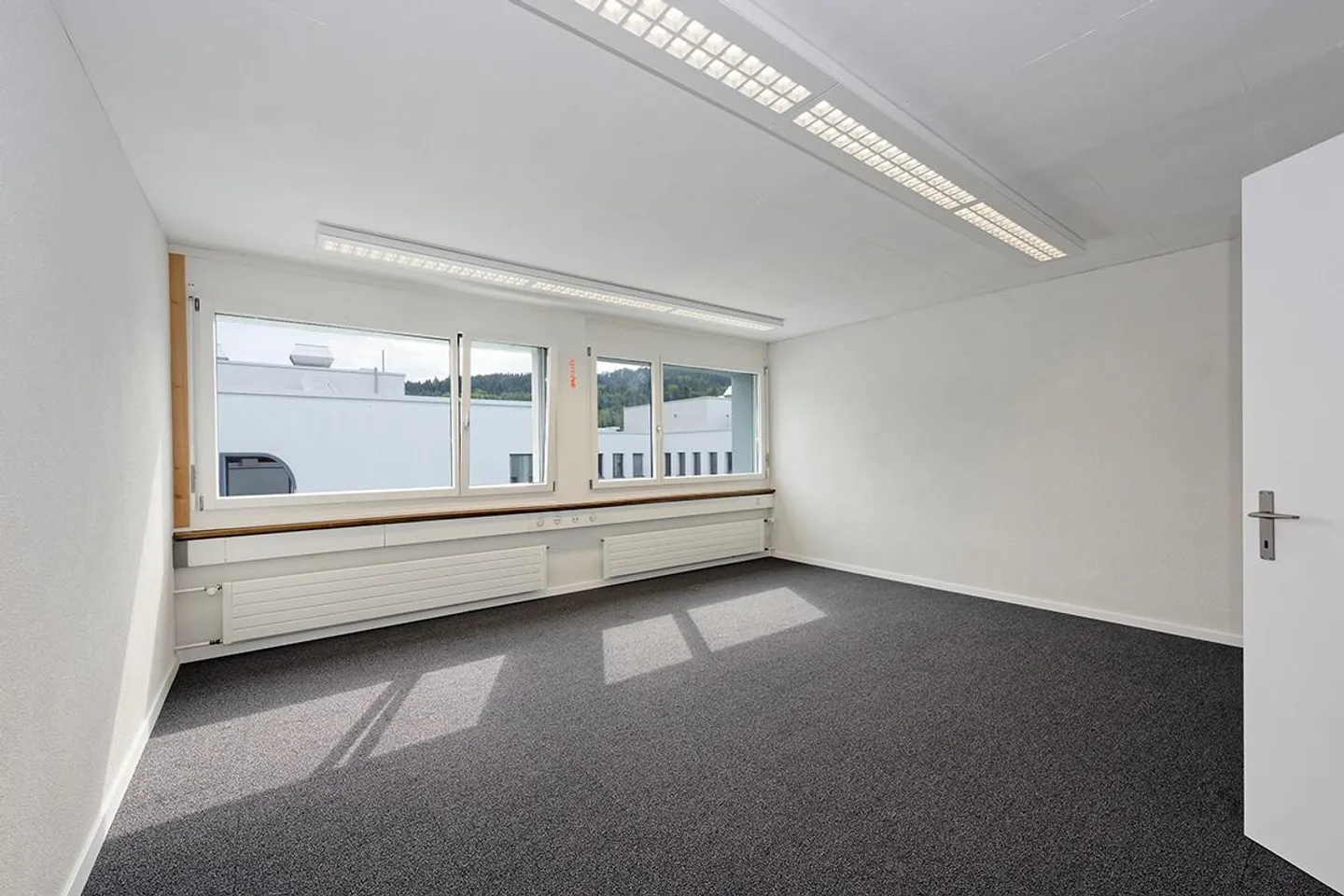 Montrer sa présence ! - Photo 8 sur 9