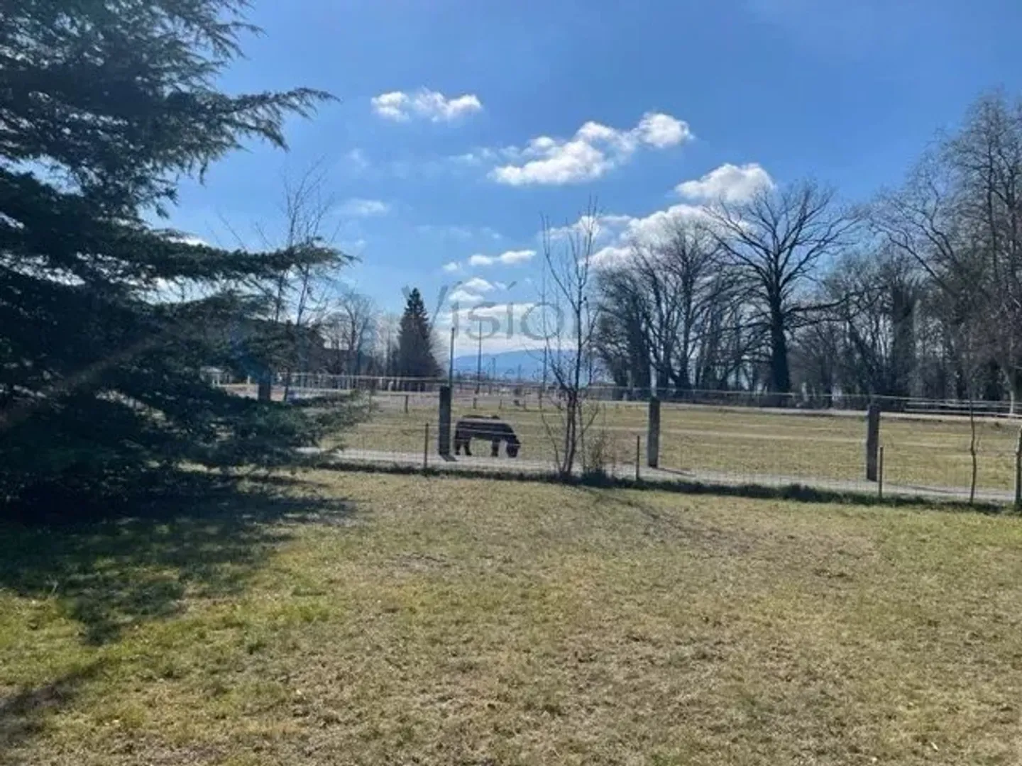 VERO COLPO AL CUORE - Foto 11 di 11