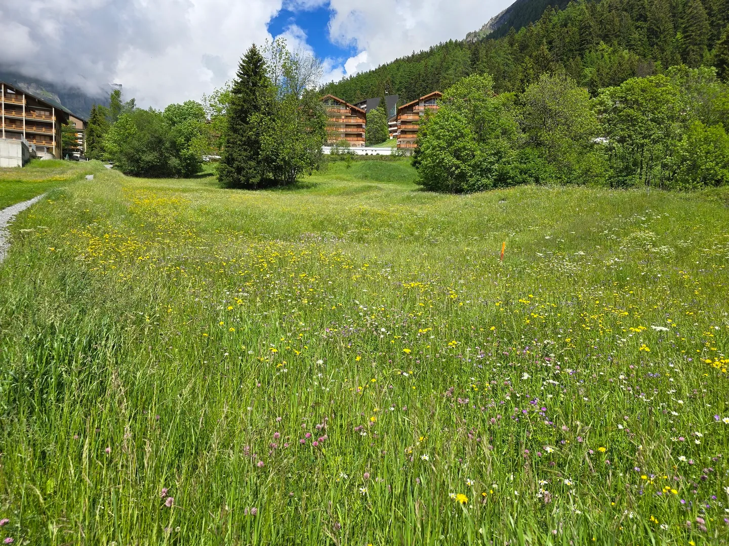 Terreno edificabile - 953 M2 - Leukerbad - Ref. 10245442 - Foto 1 di 5