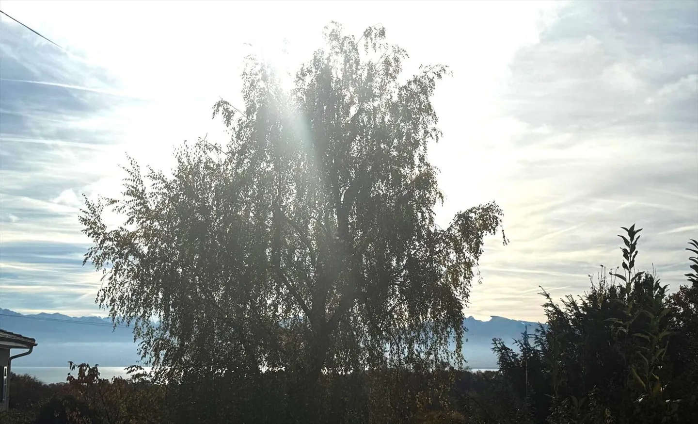 5.5-room house - Photo 1 of 7