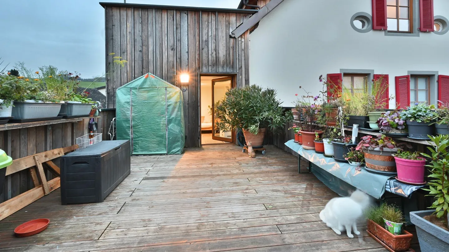 Appartement 2,5 pièces avec terrasse XXL - accessible et ascenseur - Photo 8 sur 14