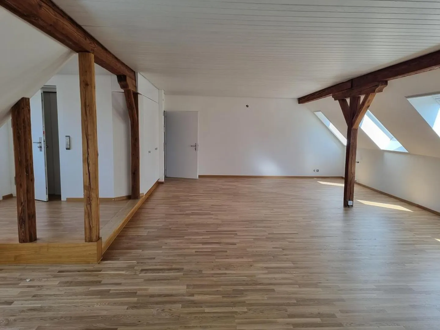 Completely renovated apartment in the heart of Zurich - Photo 7 of 9