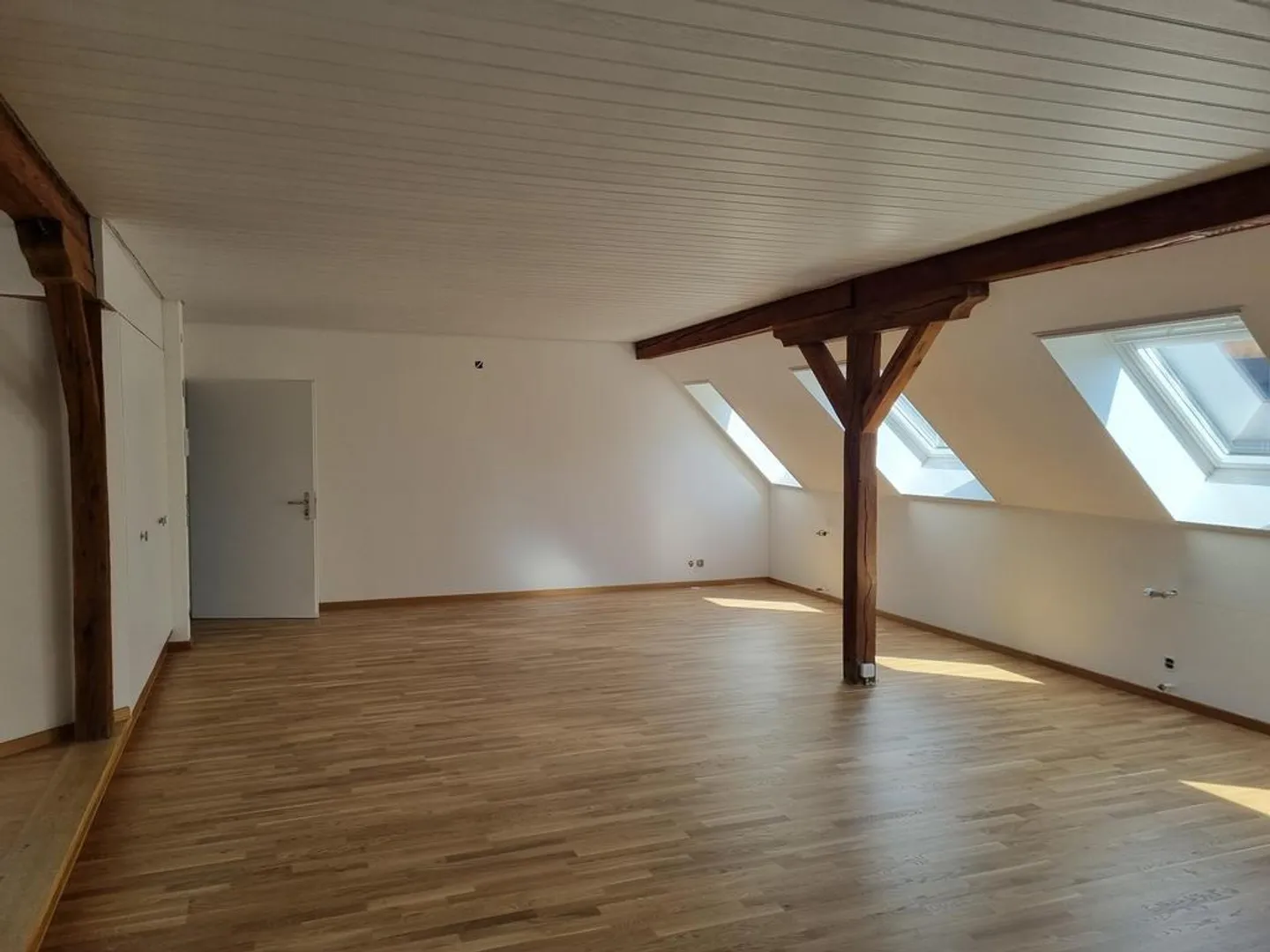 Completely renovated apartment in the heart of Zurich - Photo 4 of 9