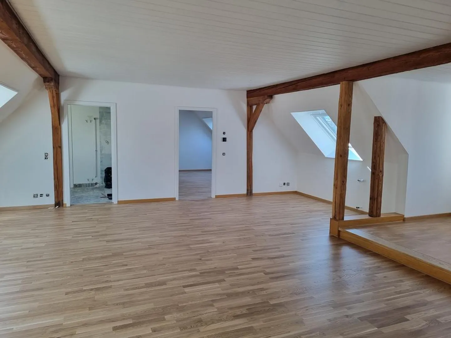 Completely renovated apartment in the heart of Zurich - Photo 5 of 9