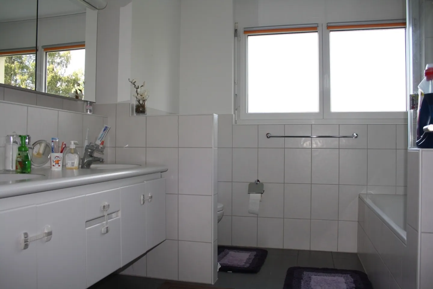 Geräumige 5.5-Zimmer Wohnung mit Garten in Schaffhausen - Foto 8 von 10
