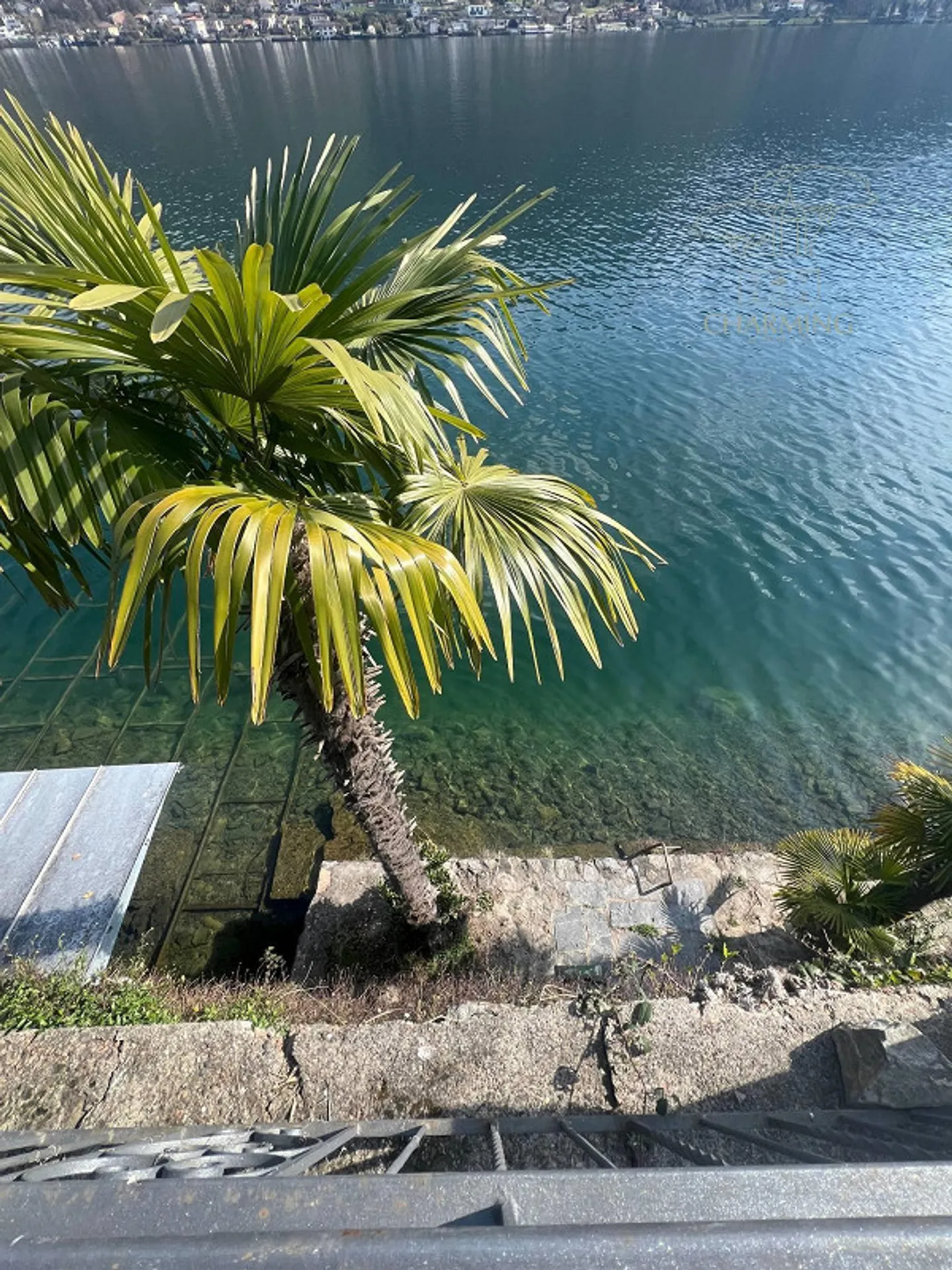 Villa - Morcote - Photo 8 of 8