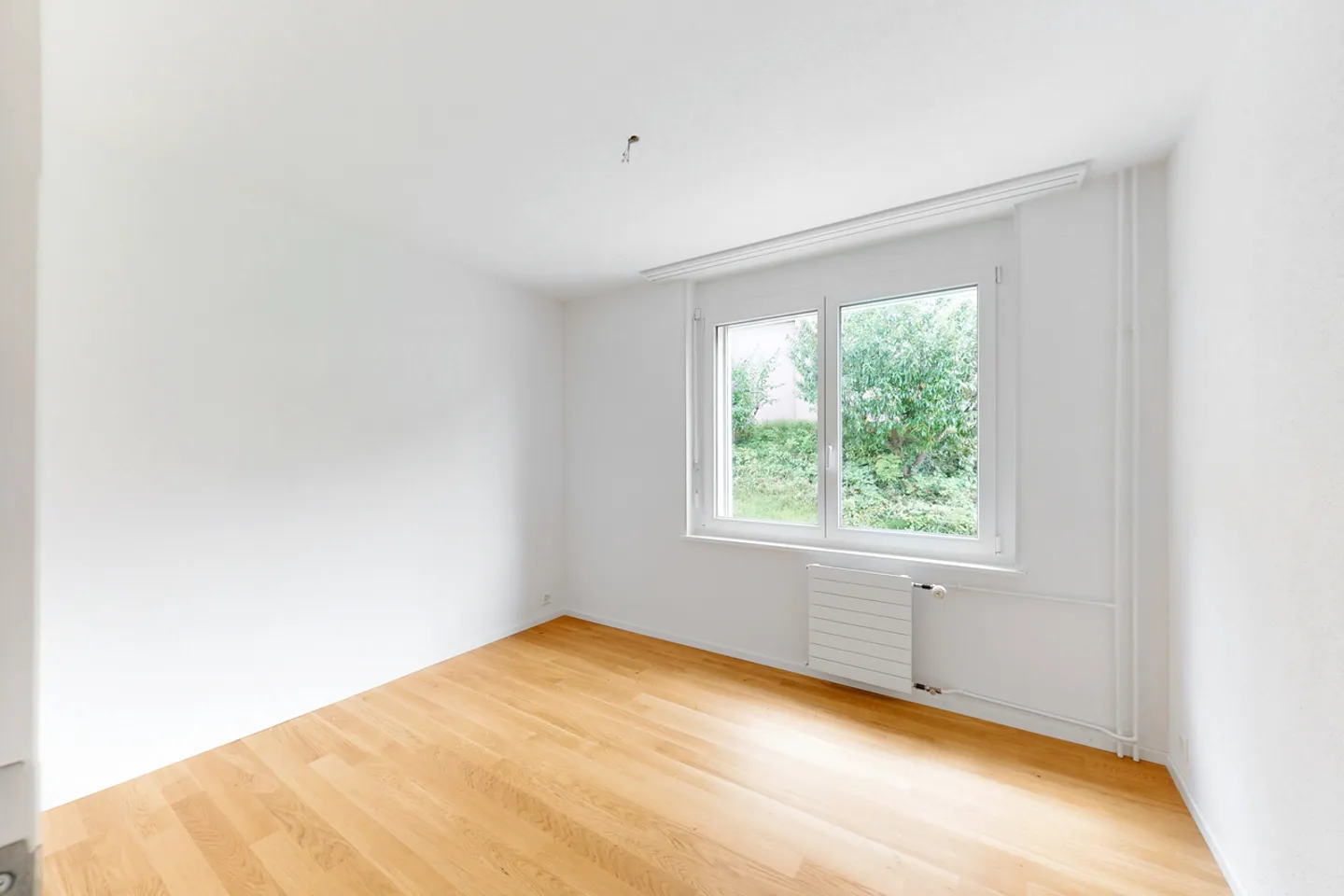 Completely Renovated Apartment with Evening Sun - Photo 4 of 6