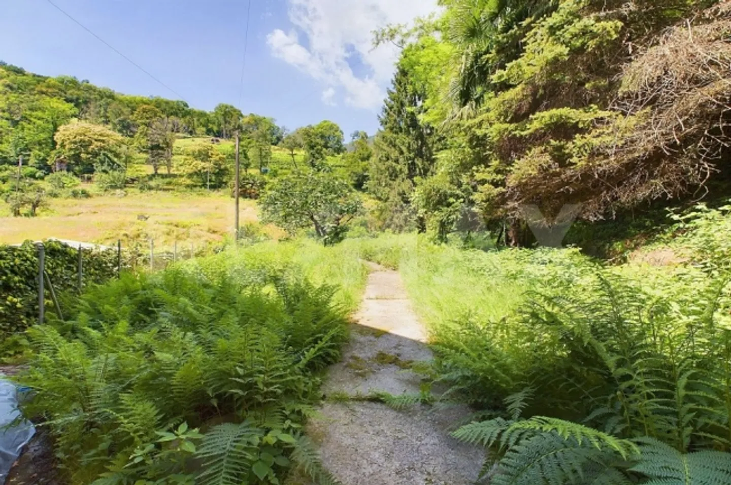 4.5 Room single house - Photo 8 of 13