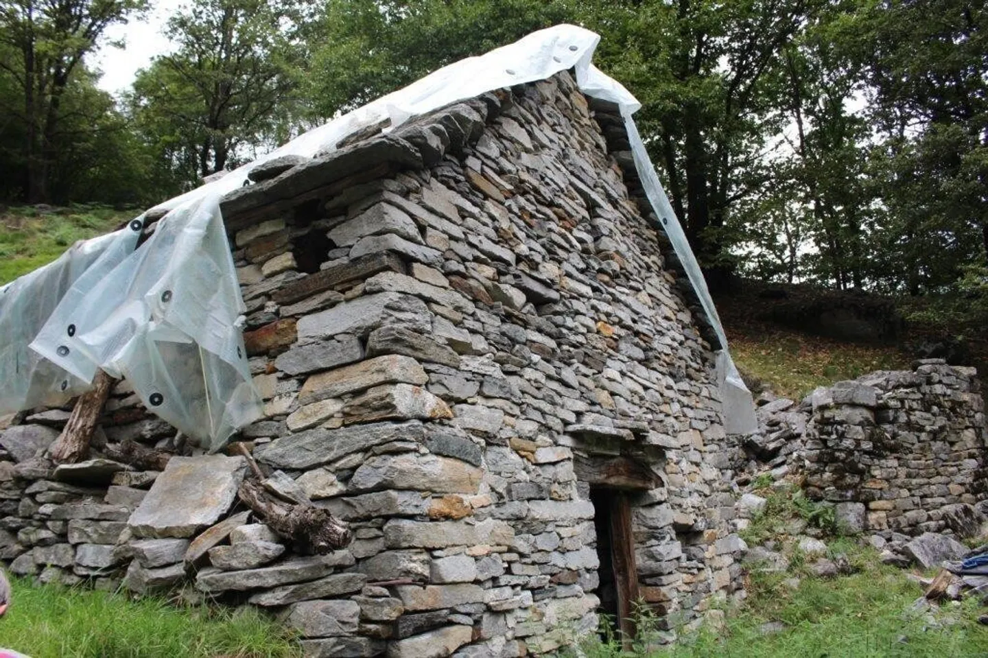 Charmant Rustico en Nature - Photo 3 sur 11