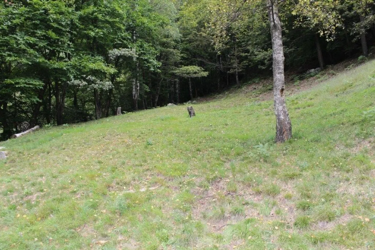 Charmant Rustico en Nature - Photo 9 sur 11