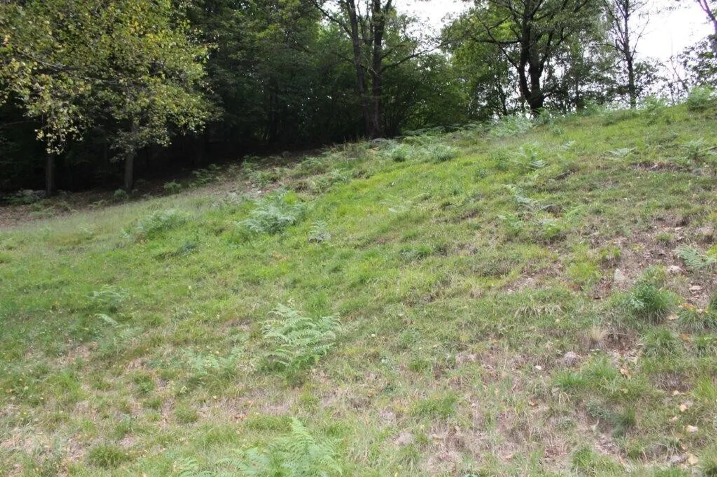 Charmant Rustico en Nature - Photo 10 sur 11