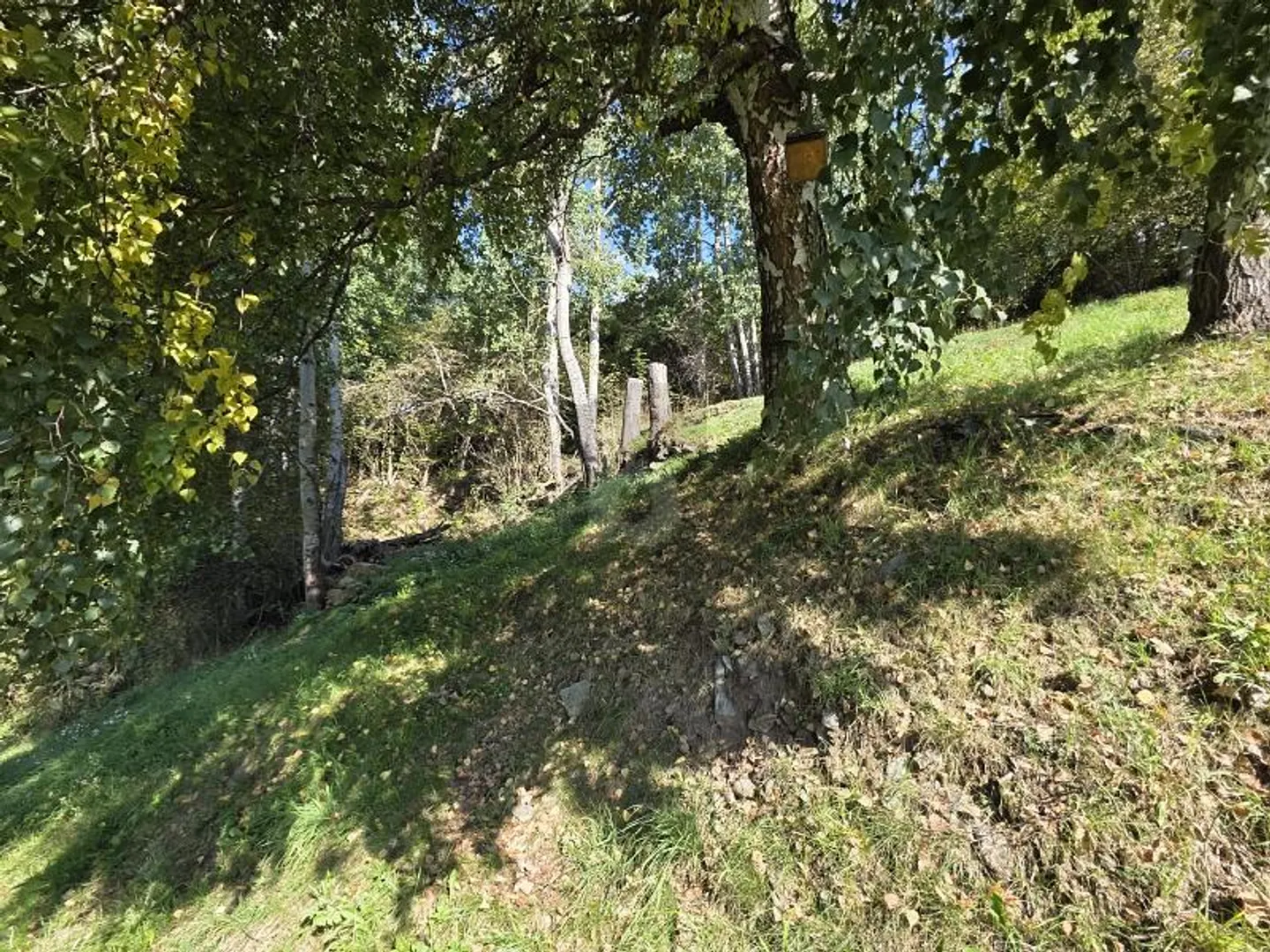 Terreno edificabile a Campello - Foto 4 di 6