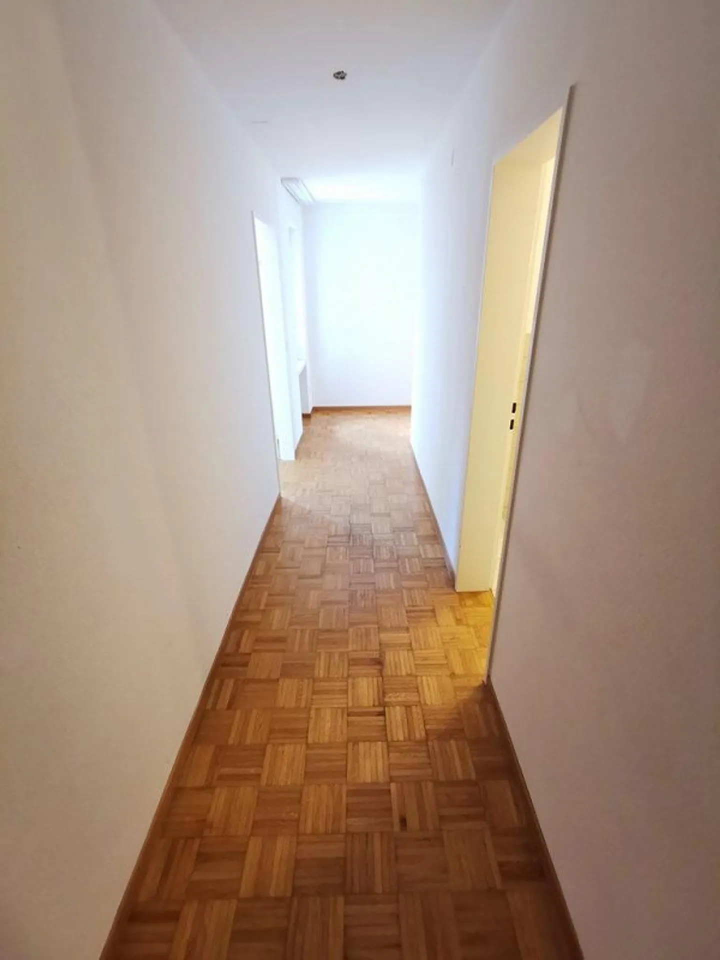 Quartiere tranquillo con ambiente verde - Foto 7 di 11
