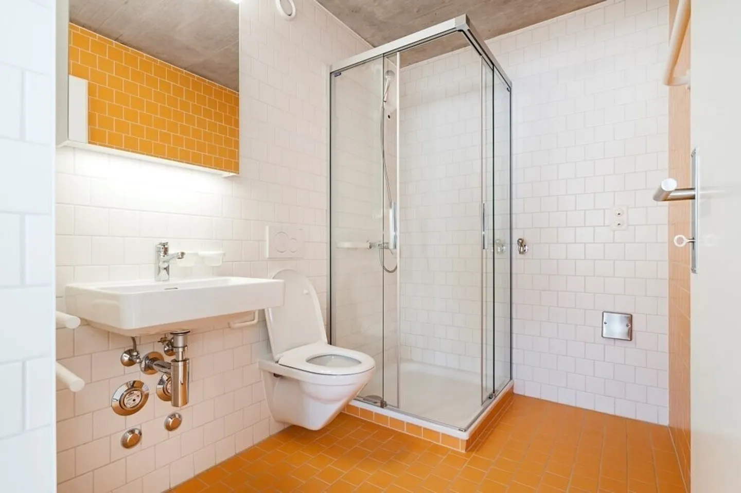 Splendid apartment in Sion! - Photo 4 of 4