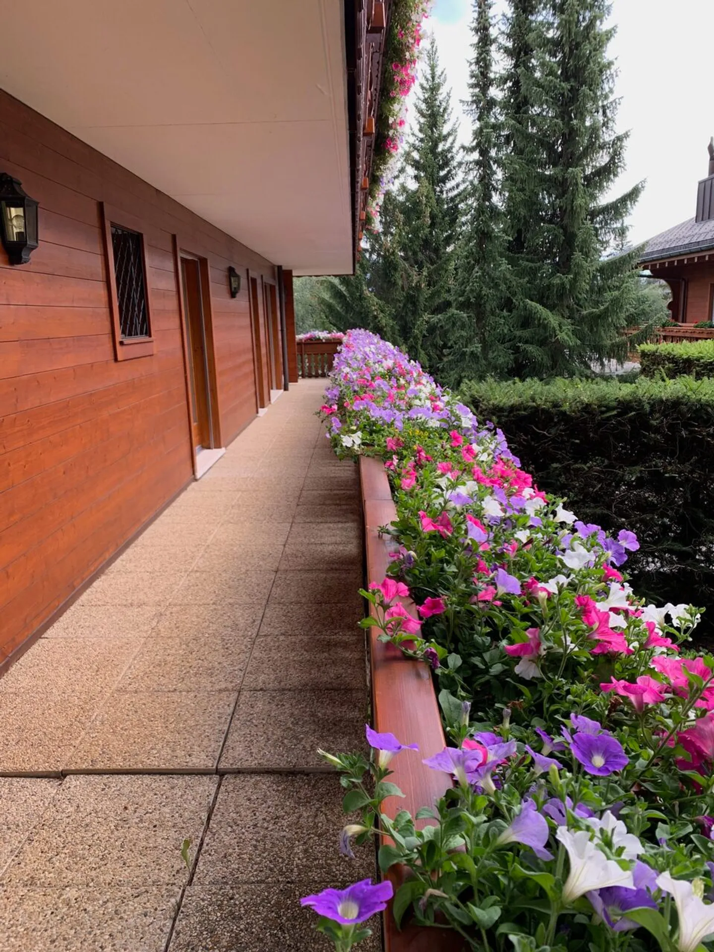 Magnifico appartamento di 3,5 locali con vista a Crans-Montana - Foto 9 di 18