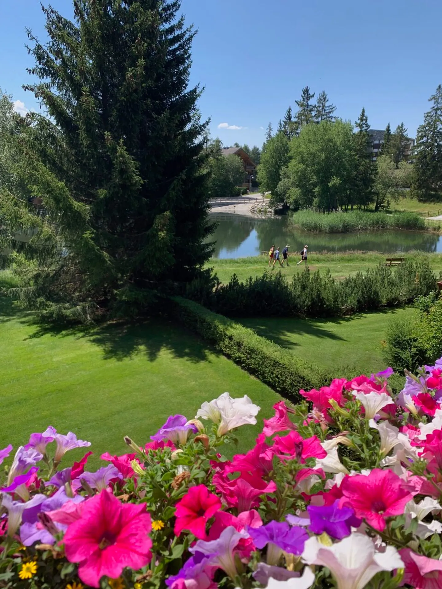Magnifico appartamento di 3,5 locali con vista a Crans-Montana - Foto 11 di 18