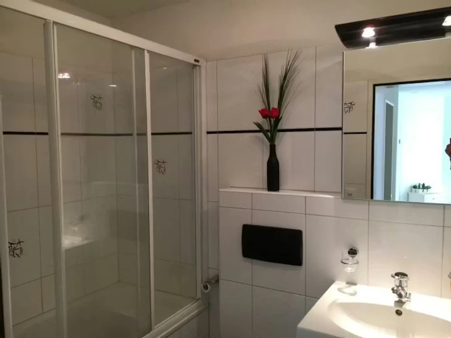 Charming Apartment in Buchs - Photo 8 of 10