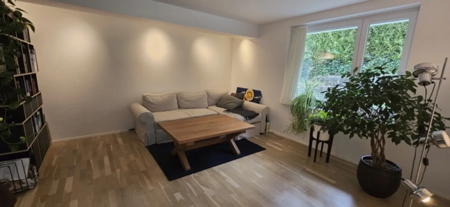 2½ ROOM APARTMENT IN ZURICH - DISTRICT 2 WOLLISHOFEN, FURNISHED, TEMPORARY - Photo 2 of 6