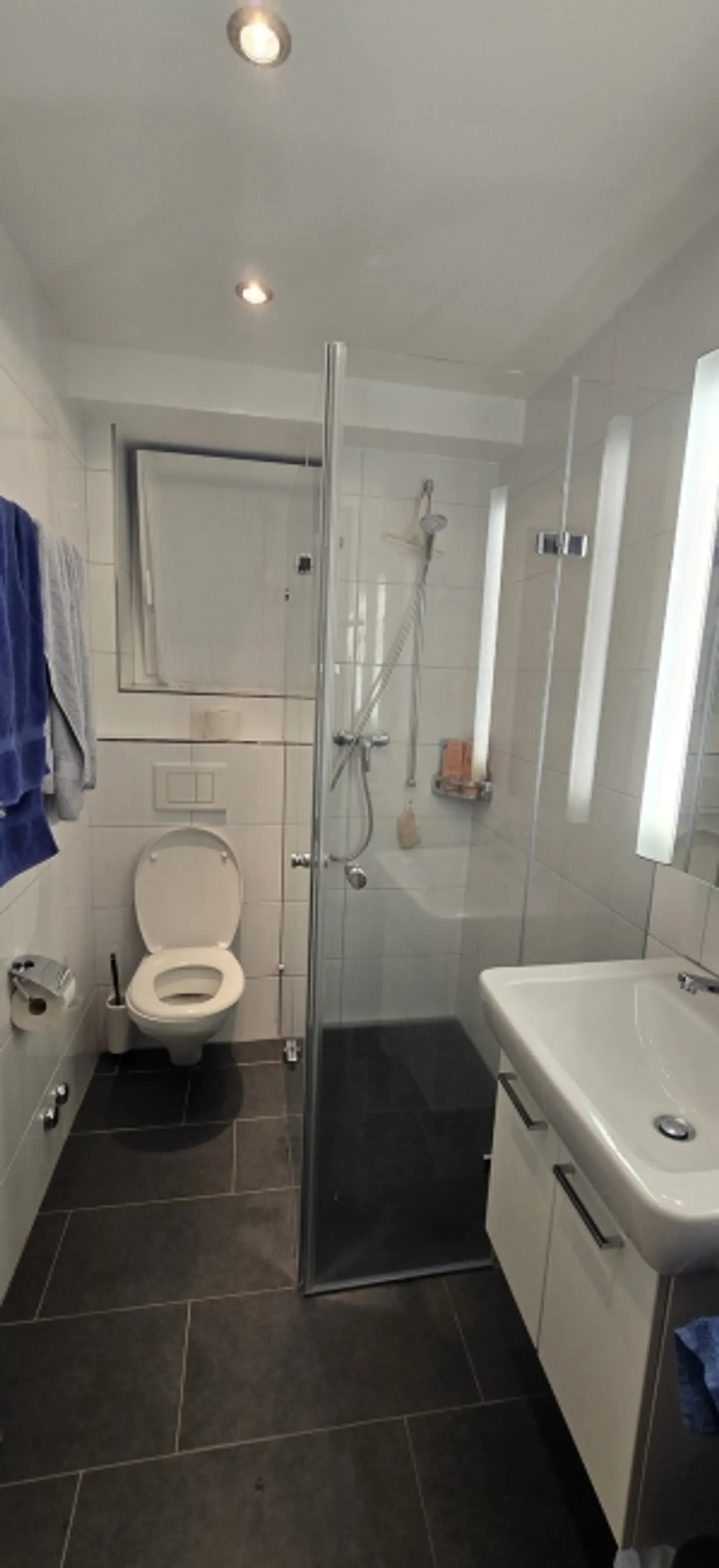 2½ ROOM APARTMENT IN ZURICH - DISTRICT 2 WOLLISHOFEN, FURNISHED, TEMPORARY - Photo 6 of 6