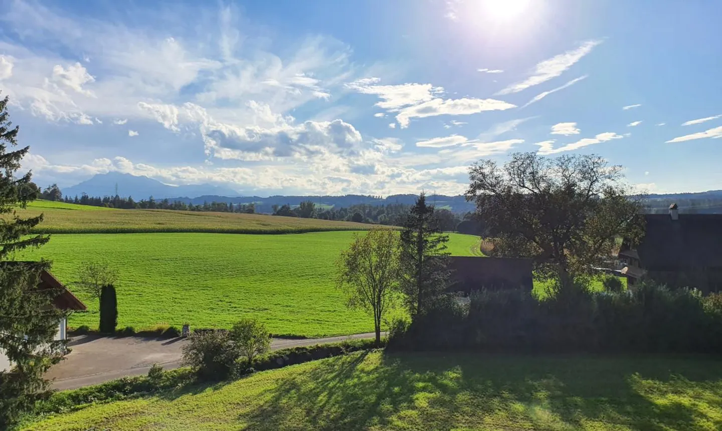 Attico Hünenberg - Foto 10 di 13