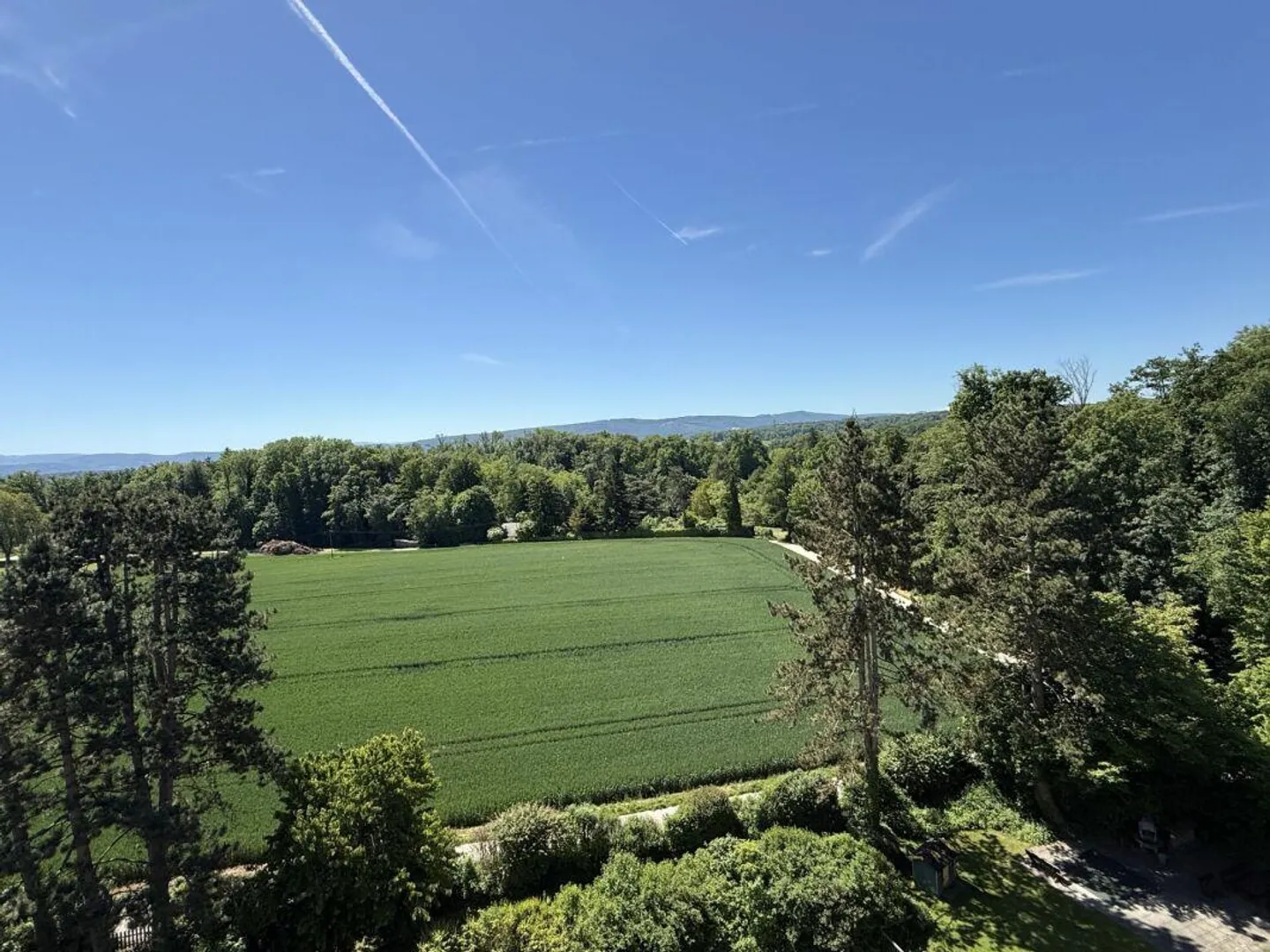 Geräumige Wohnung mit Aussicht - Foto 2 von 10