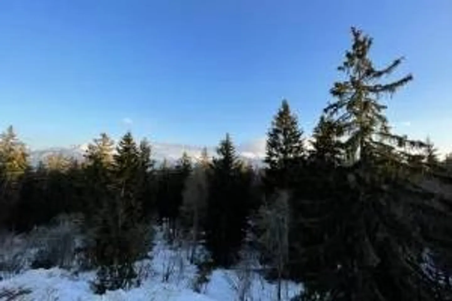 Appartement Attique Charmant - Photo 3 sur 11