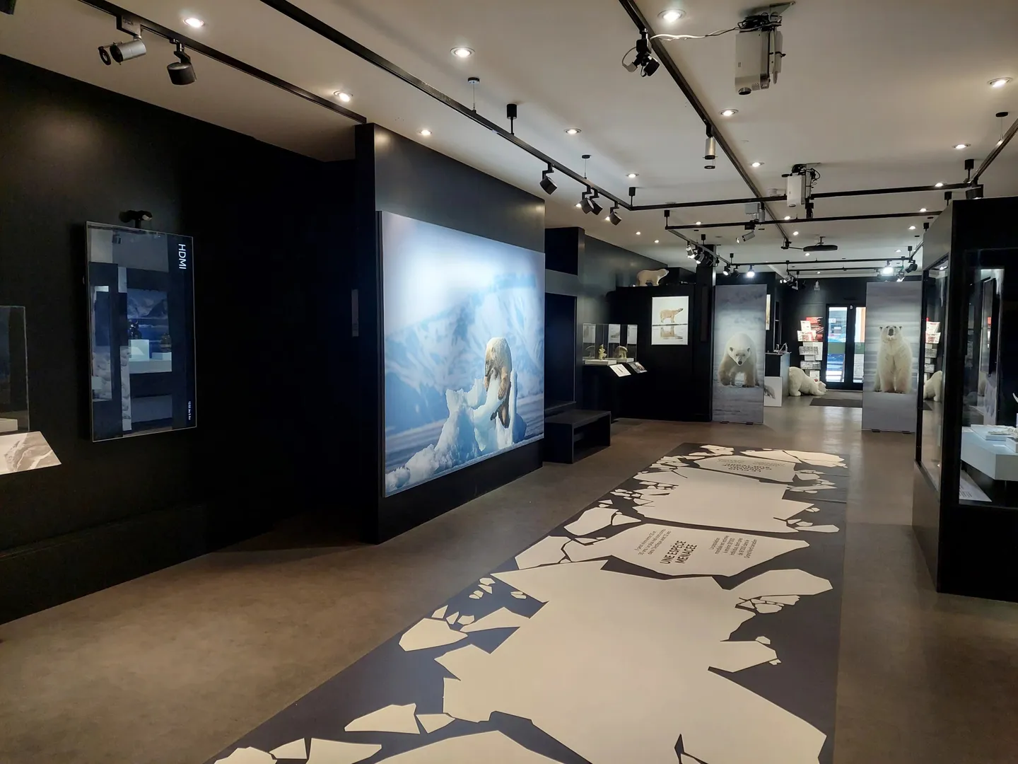 Spazio Commerciale di Prima Scelta - Foto 2 di 7