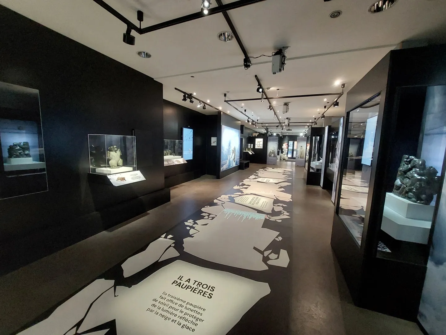 Spazio Commerciale di Prima Scelta - Foto 4 di 7