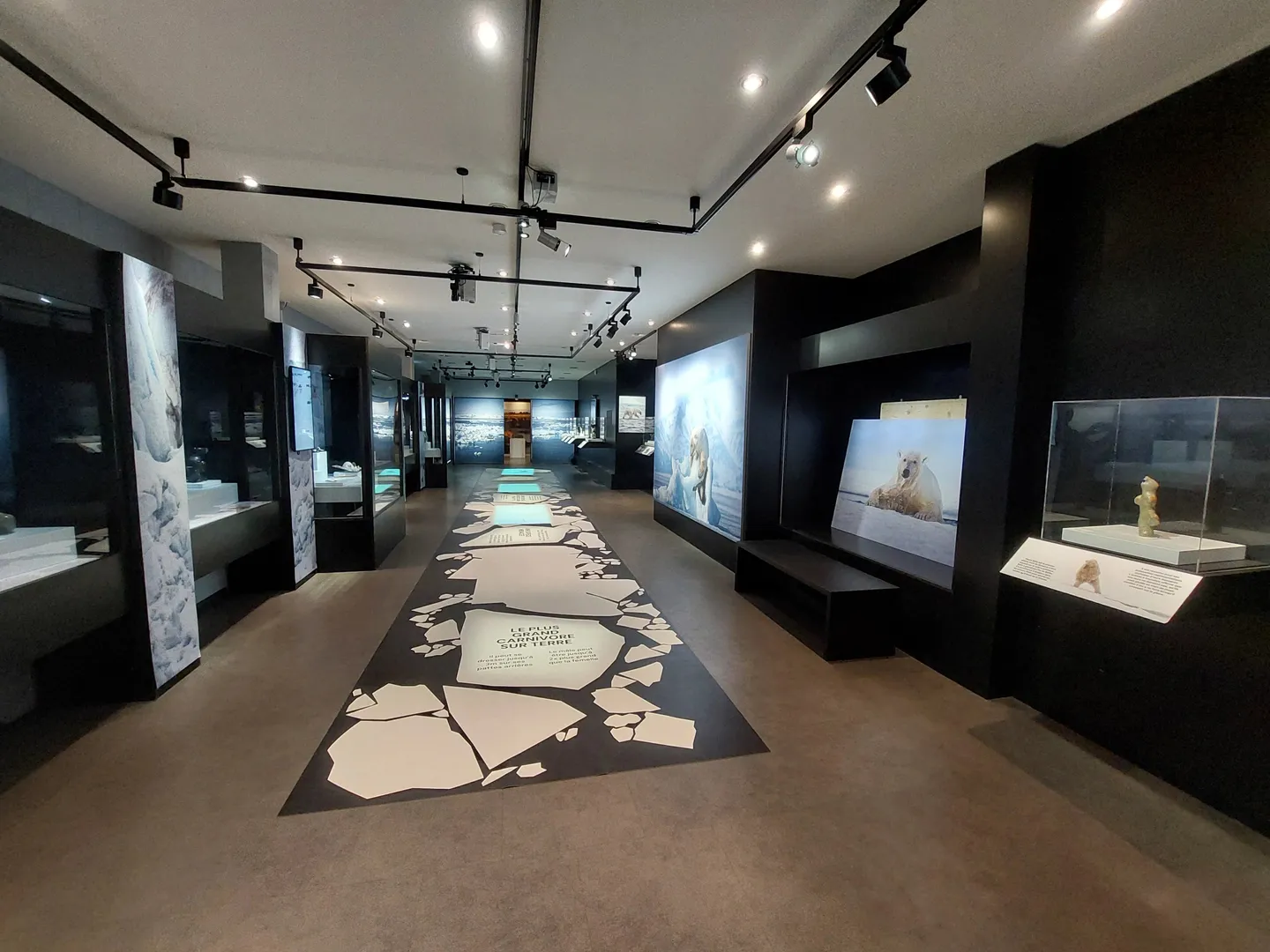 Spazio Commerciale di Prima Scelta - Foto 6 di 7