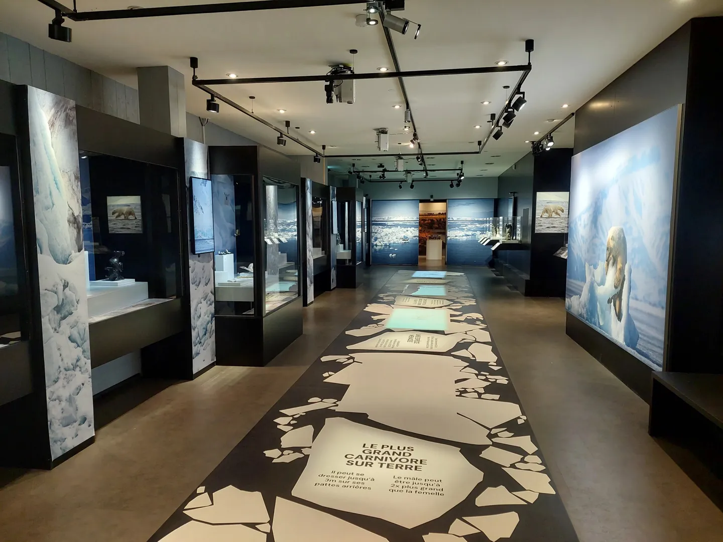 Spazio Commerciale di Prima Scelta - Foto 7 di 7