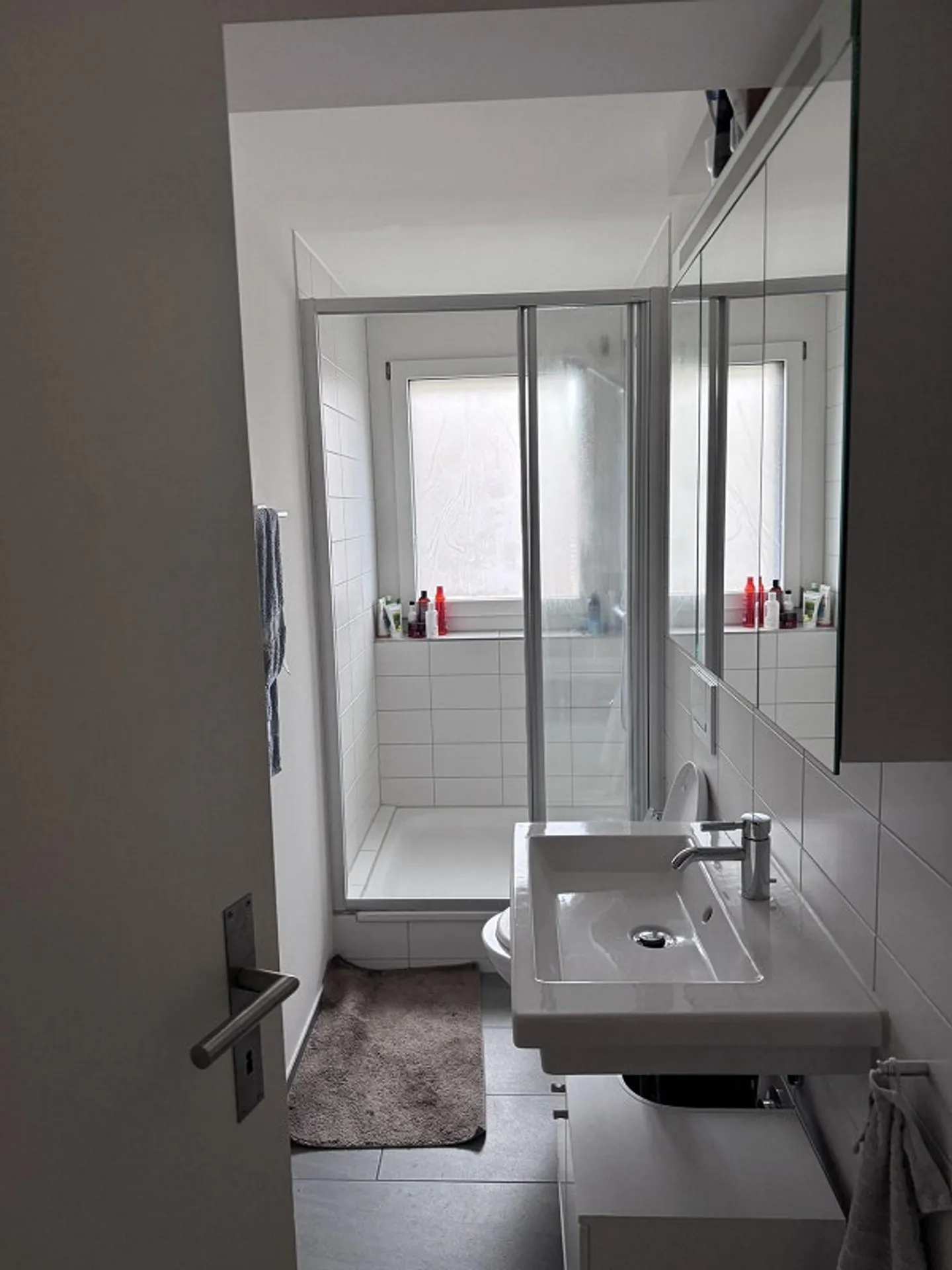 Appartamento maisonette a Wiedikon in affitto temporaneo (7 mesi) - Foto 11 di 12