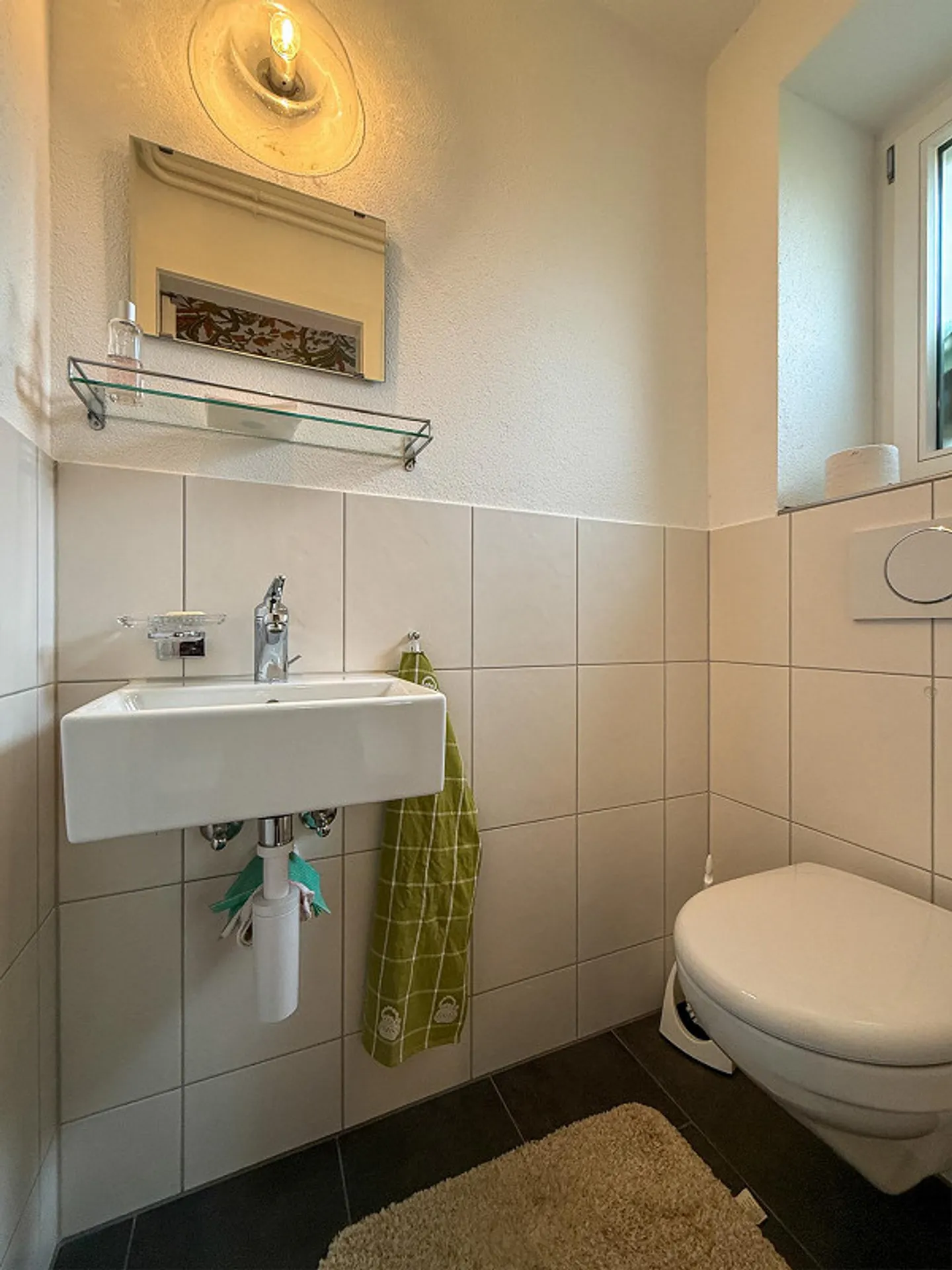 Casa bifamiliare, Giardino di Liebefeld - Foto 14 di 27