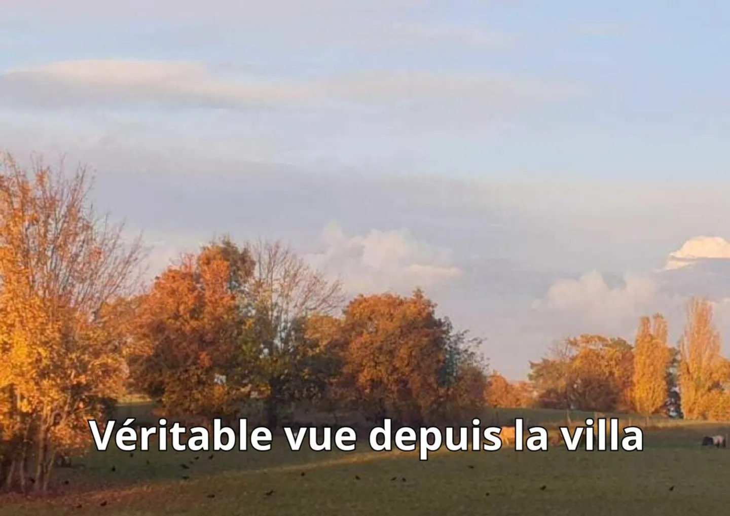 Single house for sale - Photo 15 of 15