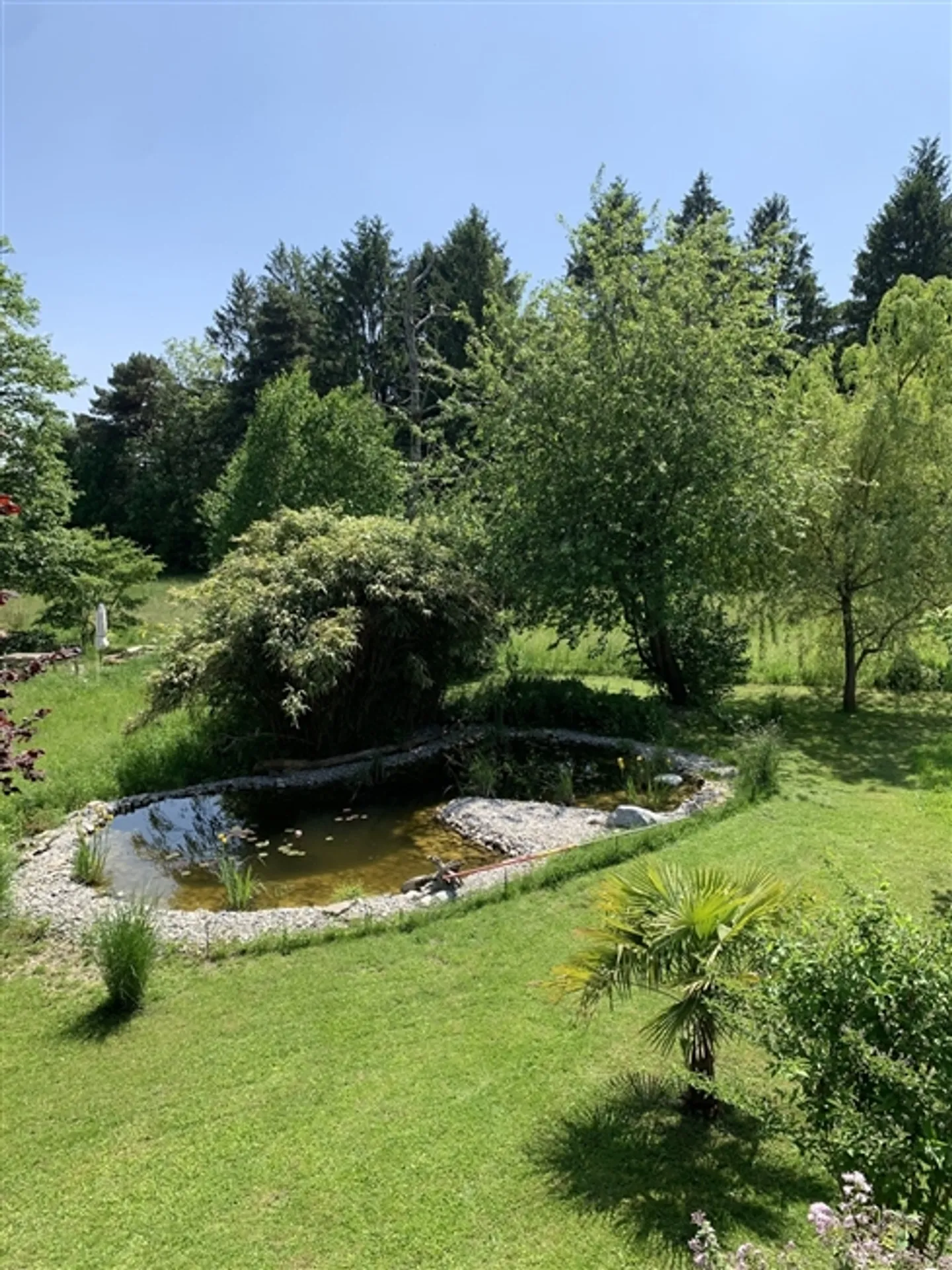 «2½ ZI-WOHNUNG IN IPSACH (BE), MÖBLIERT, TEMPORÄR» - Foto 9 von 9