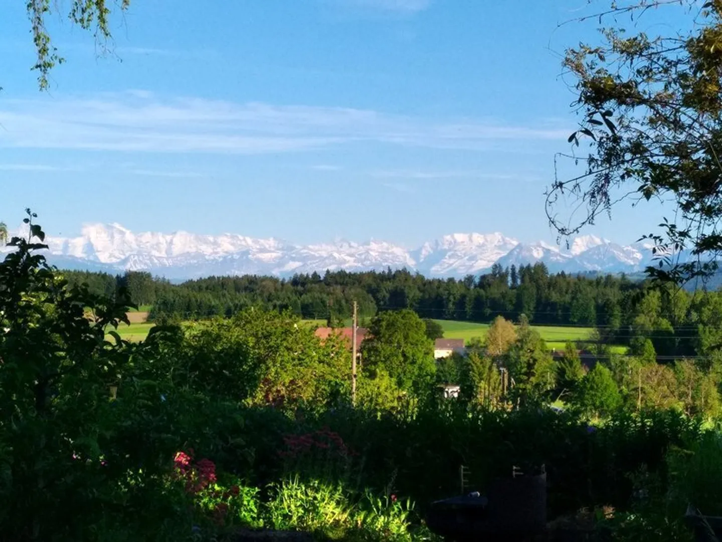Charming House with Mountain View - Photo 12 of 12