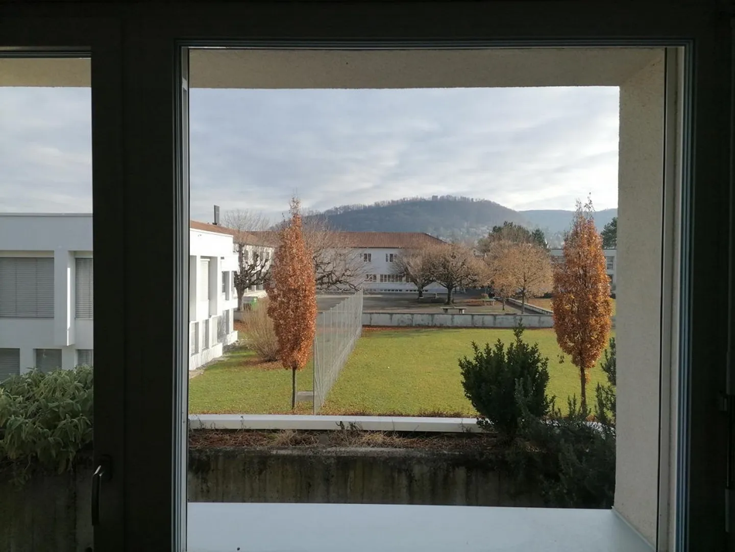 Ruhiges Wohnen in parkähnlicher Umgebung - Foto 7 von 8