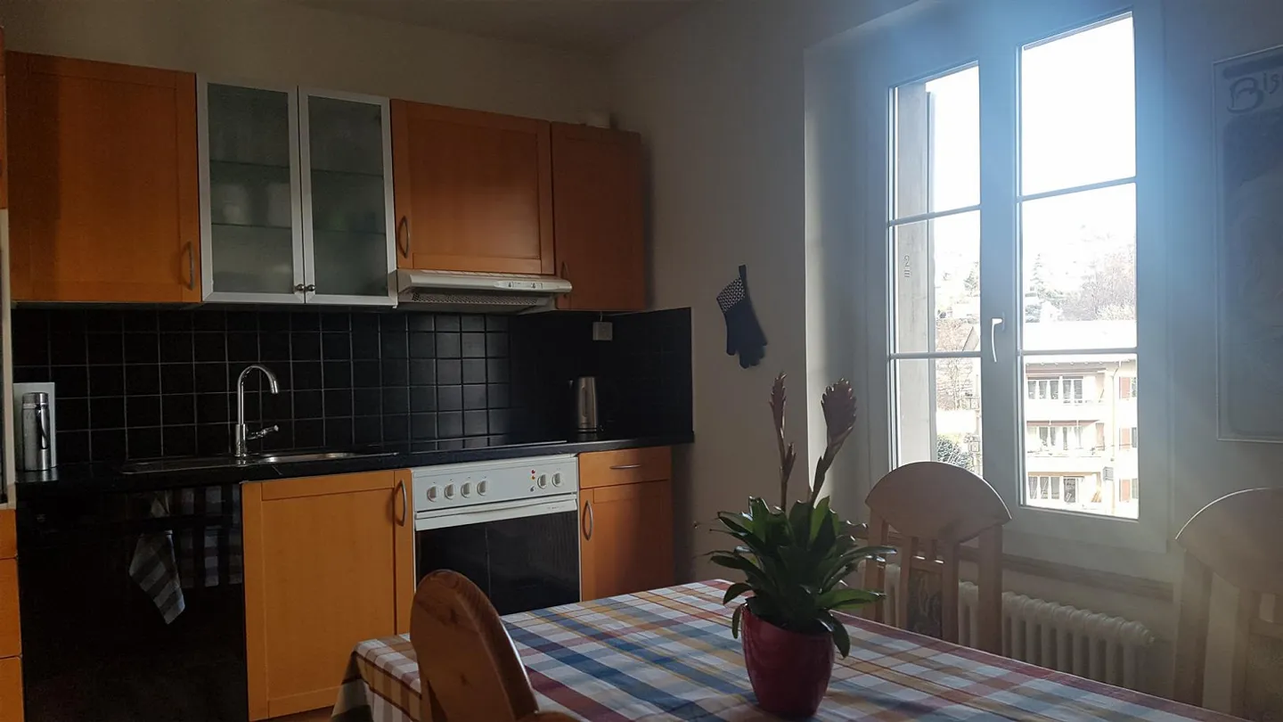 Appartamento centrale nel Kreis 8 - Foto 3 di 9