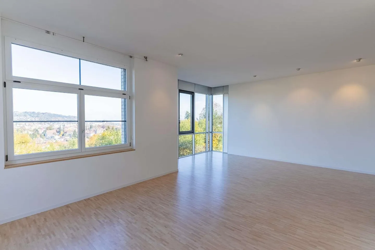 Modern Loft Apartment with Panoramic View over St. Gallen - Photo 2 of 5