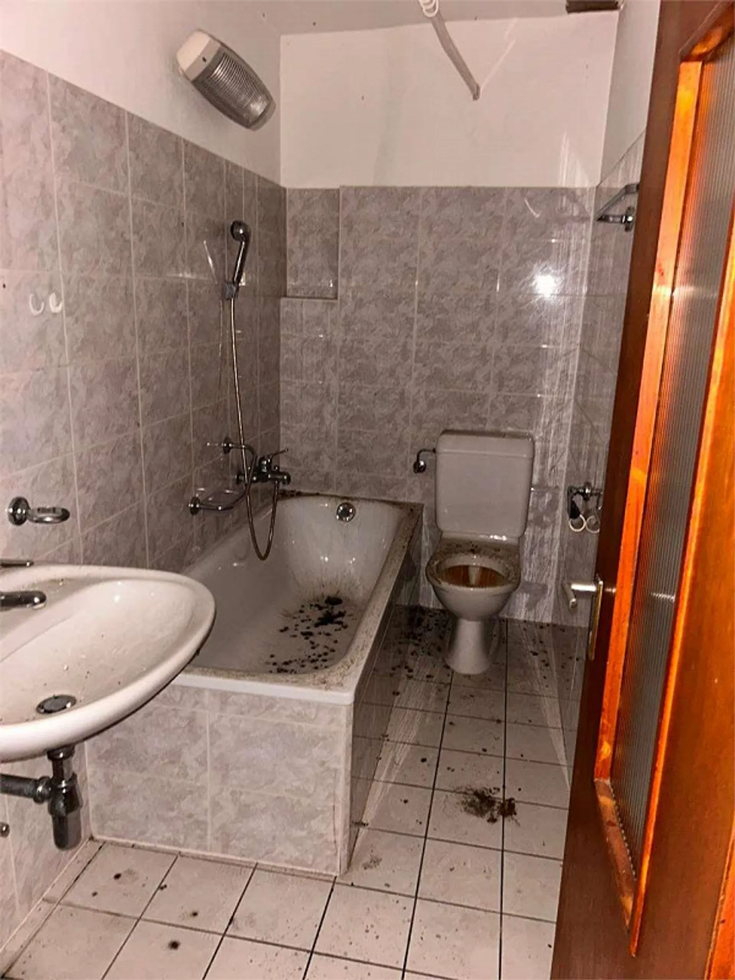 Gebäude zu renovieren - Foto 10 von 13