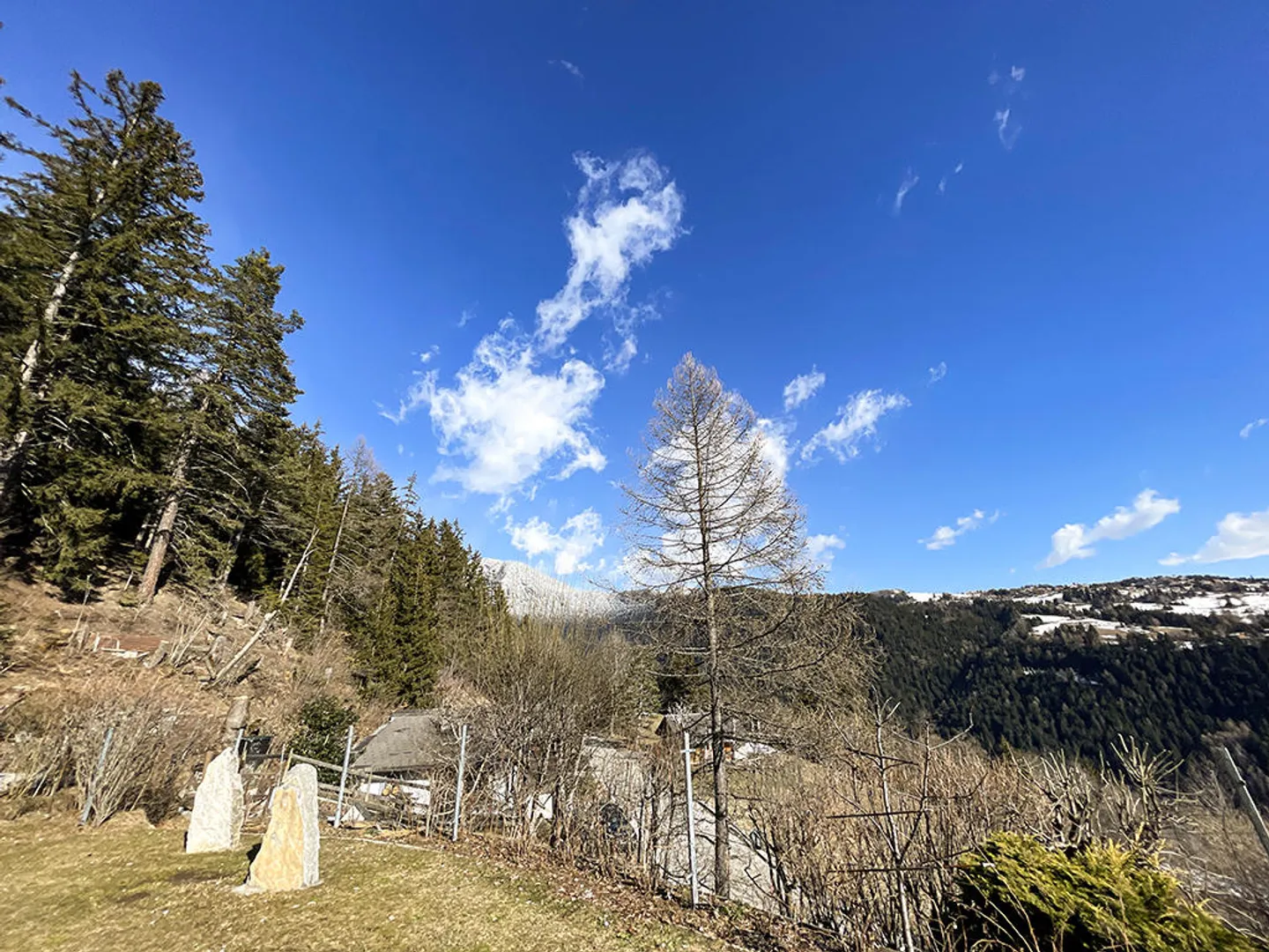 4.5 Room House - Photo 2 of 3