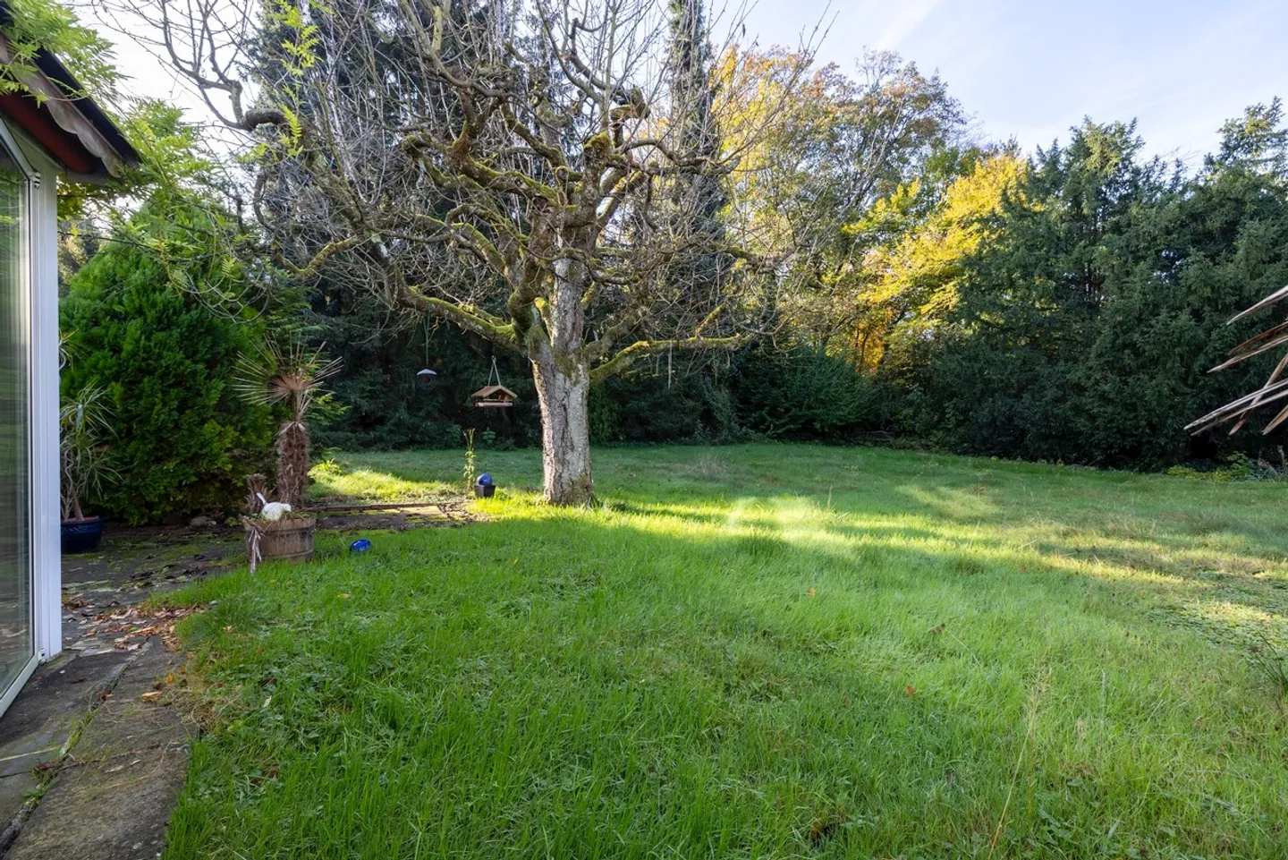 Large plot for only 1 large, luxurious single-family home - Photo 2 of 8