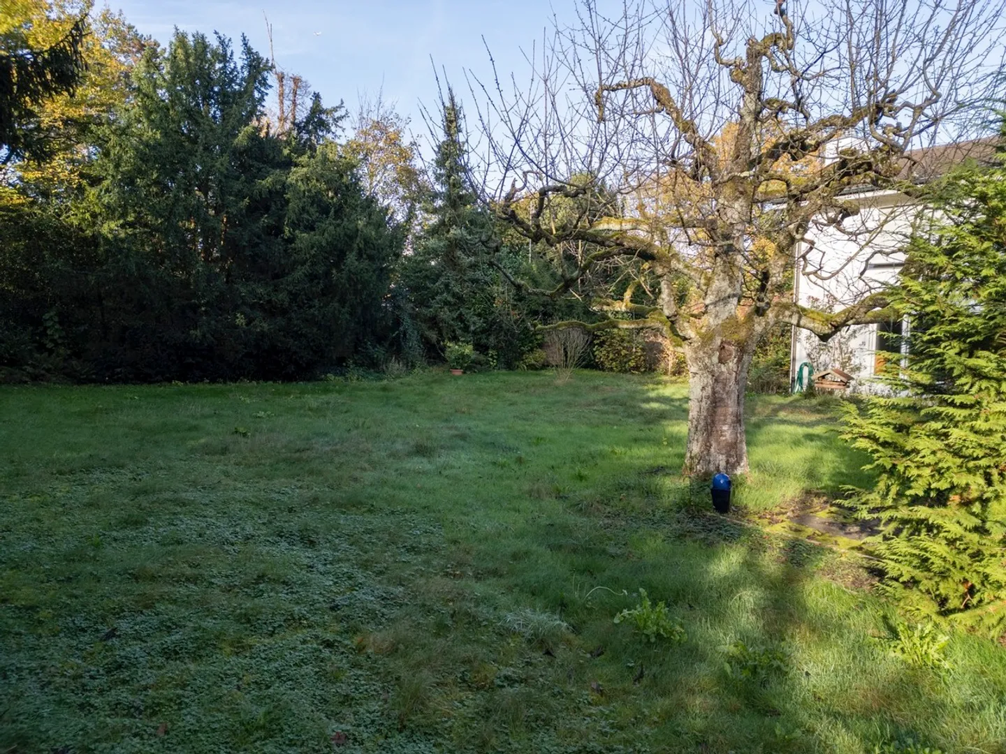 Large plot for only 1 large, luxurious single-family home - Photo 3 of 8